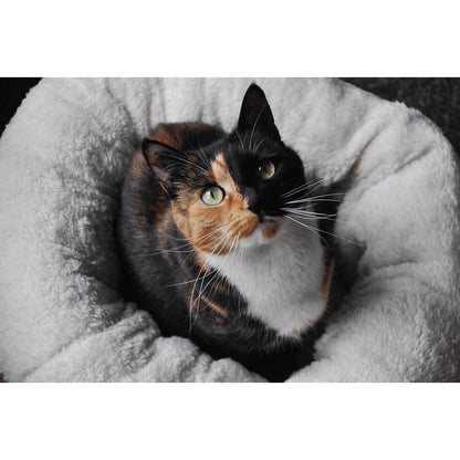 Soft Cat Bed Brown Suede - Warm Kitten Puppy Round Doughnut Donut Lambswool