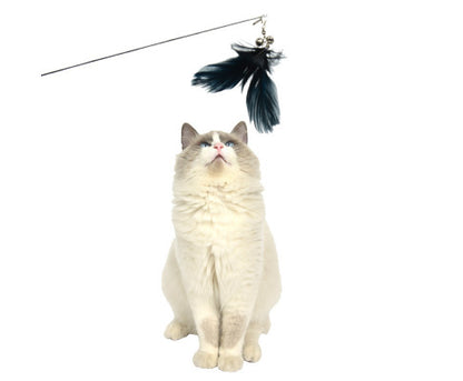 YES4PETS 2 X Pet Cat Toys Retractable Feathers Teaser Cat Stick Interactive Play