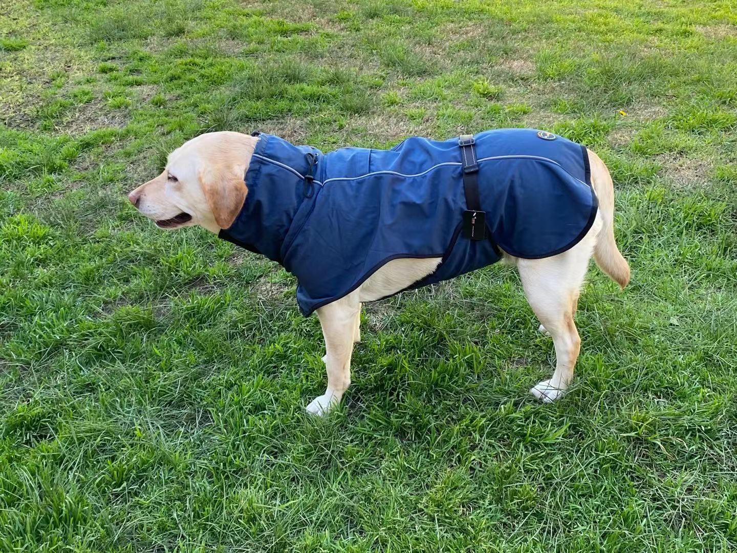 Pet Dog Raincoat Poncho Jacket Windbreaker Waterproof Clothes with Harness Hole-S-Black