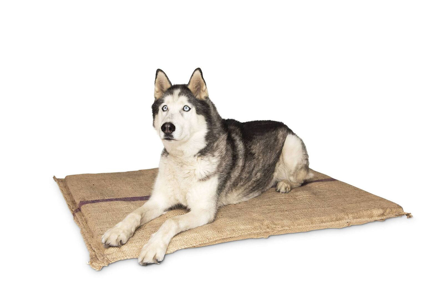 YES4PETS Jumbo Hessian Pet Dog Puppy Bed Mat Pad House Kennel Cushion With Foam 110 x 78 cm